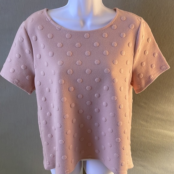 W5 size M pink dusty rose color dotted short sleeve knit top - Picture 2 of 12